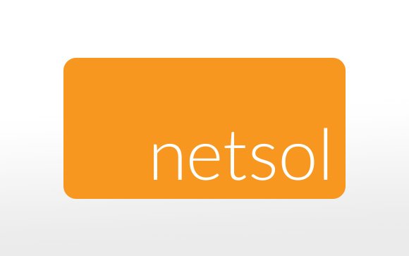 netsol-logo.jpg